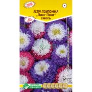 Астра «Пинг Понг смесь»