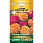 Астра «Сиринга Осенний Блюз»/ Евросемена