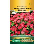Астра «Трубадур Аленький цветочек»
