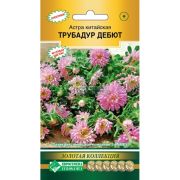 Астра «Трубадур Дебют»