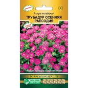 Астра «Трубадур Осенняя Рапсодия»/ Евросемена