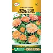Астра «Хризантелла Золотая осень»