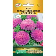 Астра «Хризантелла Люби меня Нежно»