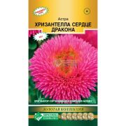 Астра «Хризантелла Сердце Дракона»