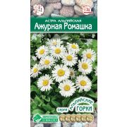 Астра альпийская «Ажурная ромашка»