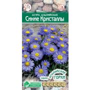 Астра альпийская «Синие Кристаллы»