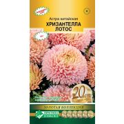 Астра китайская «Хризантелла Лотос»