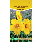 Бартония золотистая (ментцелия) «Ворожея»