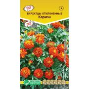 Бархатцы отклоненные «Кармен»