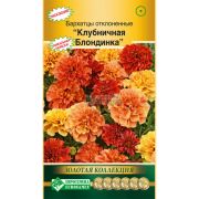 Бархатцы отклоненные «Клубничная блондинка»