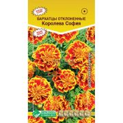 Бархатцы отклоненные «Королева София»