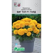 Бархатцы прямостоячие «Биг Топ Голд F1»
