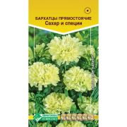 Бархатцы прямостоячие «Сахар и Специи»