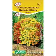 Бархатцы тонколистные «Звездный огонь смесь»/ Евросемена