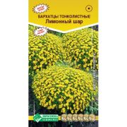 Бархатцы тонколистные «Лимонный шар»