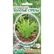 Бор развесистый «Золотые Стрелы»