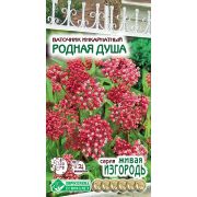 Ваточник инкарнатный «Родная Душа»