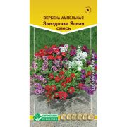 Вербена ампельная «Звездочка Ясная смесь»