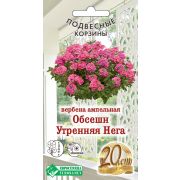 Вербена ампельная «Обсешн Утренняя Нега»