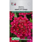Вербена гибридная «Кварц XP Бордо»