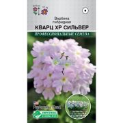 Вербена гибридная «Кварц XP Сильвер»