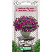 Вербена гибридная «Королевский Пурпурит»