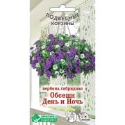 Вербена гибридная «Обсешн День и Ночь»