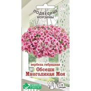 Вербена гибридная «Обсешн Многоликая моя»
