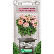 Вербена гибридная «Тускани Персик»