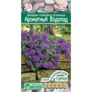 Вербена тонкорассеченная «Ароматный водопад»