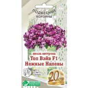 Виола виттрока «Топ Вэйв Нежные напевы F1»/ Евросемена