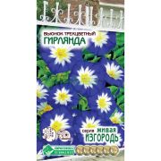 Вьюнок трехцветный «Гирлянда»/ Евросемена