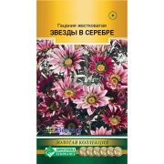 Гацания жестковатая «Звезды в серебре»