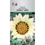 Гацания жестковатая «Талент Уайт»