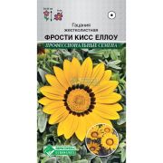 Гацания жестколистная «Фрости Кисс Еллоу»