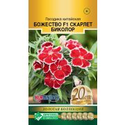 Гвоздика китайская «Божество Скардет Биколор F1»
