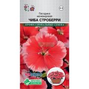 Гвоздика межвидовая «Чиба Строберри»