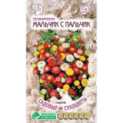 Гелихризум «Мальчик с пальчик»