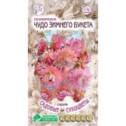 Гелихризум «Чудо Зимнего Букета»