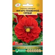 Георгина гибридная «Фигаро Пламенное Сердце»