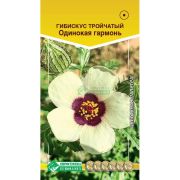 Гибискус тройчатый «Одинокая Гармонь»
