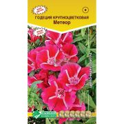 Годеция крупноцветковая «Метеор»/ Евросемена