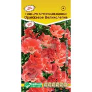 Годеция крупноцветковая «Оранжевое великолепие»/ Евросемена