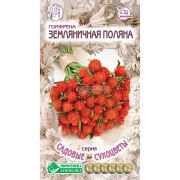 Гомфрена золотистоцветная «Земляничная Поляна»