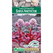Горец головчатый «Блеск Аметистов»/ Евросемена