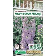 Дельфиниум садовый «Бенари Пасифик Верблюд»