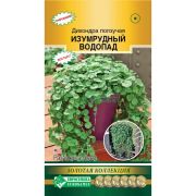 Дихондра ползучая «Изумрудный Водопад»