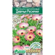 Доротеантус маргаритковый «Девичьи Реснички»