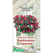 Душистый горошек «Влюбленные Сердечки»