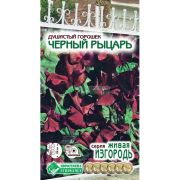 Душистый Горошек «Черный Рыцарь»
